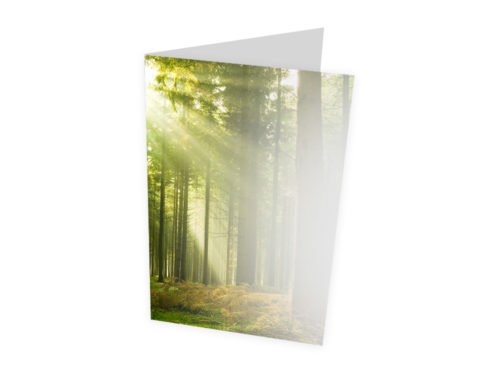 Carte Deuil - forêt