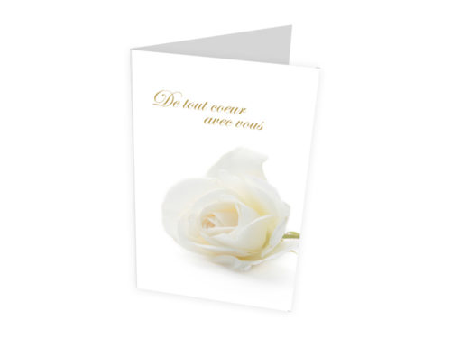 Carte Deuil - rose blanche