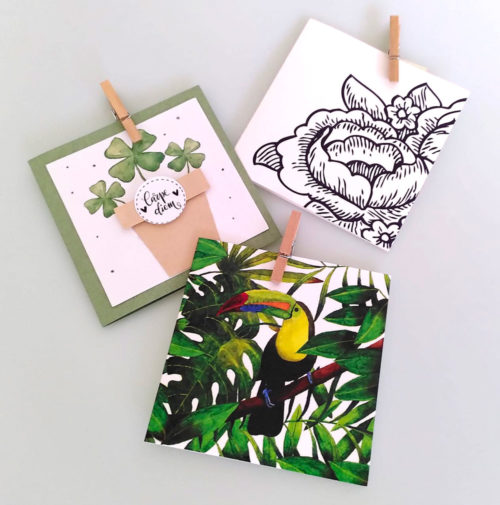Cartes minis