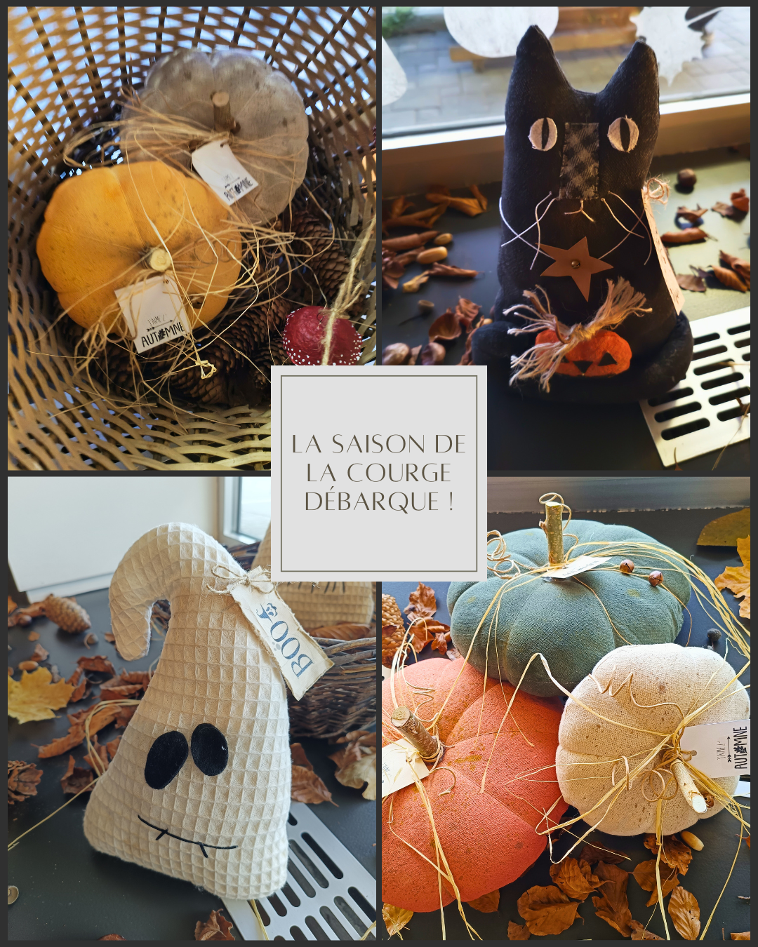 Photo de courges, peluche en lien avec la saison de la courge